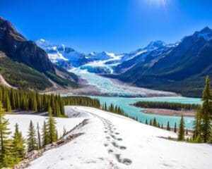 Gletscherwanderungen im Banff-Nationalpark, Alberta