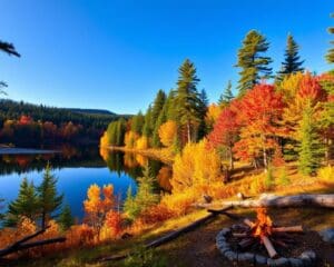 Naturerlebnisse im Algonquin-Provincial-Park, Ontario