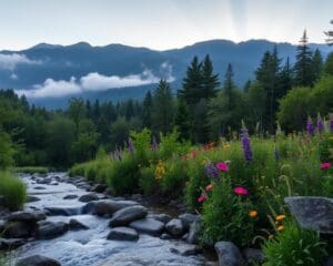 Naturerlebnisse im Great-Smoky-Mountains-Nationalpark, Tennessee