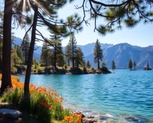 Naturerlebnisse im Lake Tahoe, Kalifornien