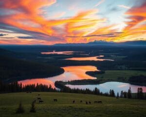 Naturwunder im Prince-Albert-Nationalpark, Saskatchewan