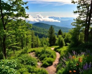 Wandern auf dem Appalachian Trail, USA