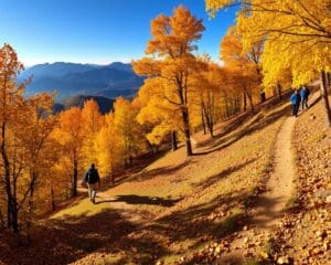 Die besten Wanderwege für aktive Herbsttage