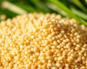 Ist Quinoa wirklich ein Superfood?