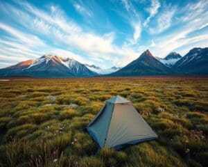 Was passiert bei Wildcampen in Island? 🇮🇸