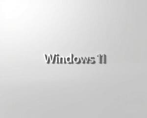 Welche Vorteile hat eine Windows 11 Retail Lizenz?