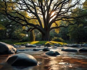 Warum ist Suchmaschinenoptimierung langfristig entscheidend?