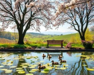 Wie planst du einen Tag ohne Stress?