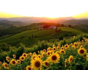Warum begeistert die Toskana mit Landschaft?