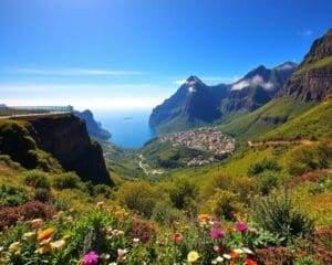Madeira Highlights