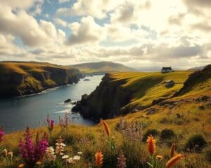 Shetland Inseln